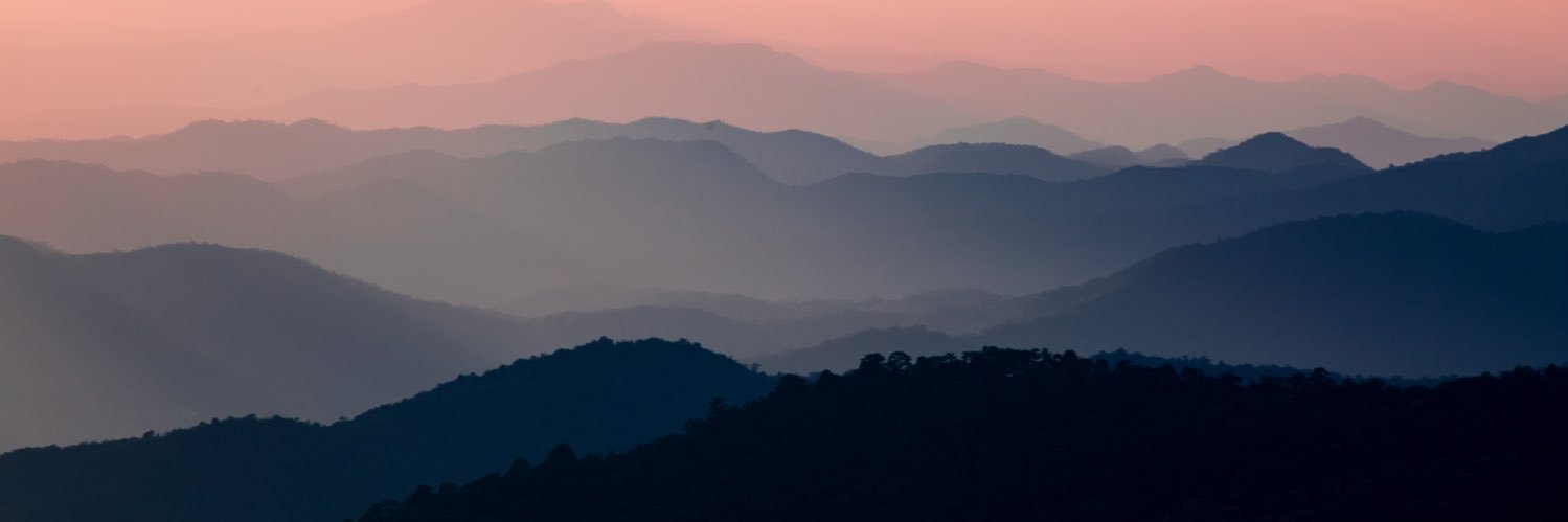 IsabelAriasR1's profile banner image