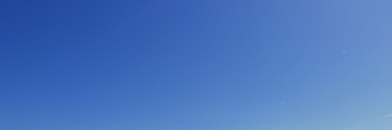 liensenss's profile banner image