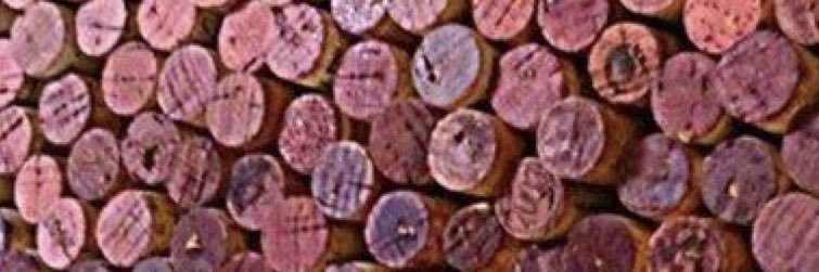 BramwellKay's profile banner image