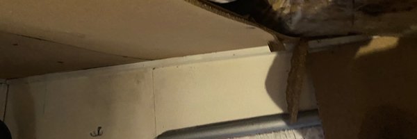 Bulle44 Profile Banner