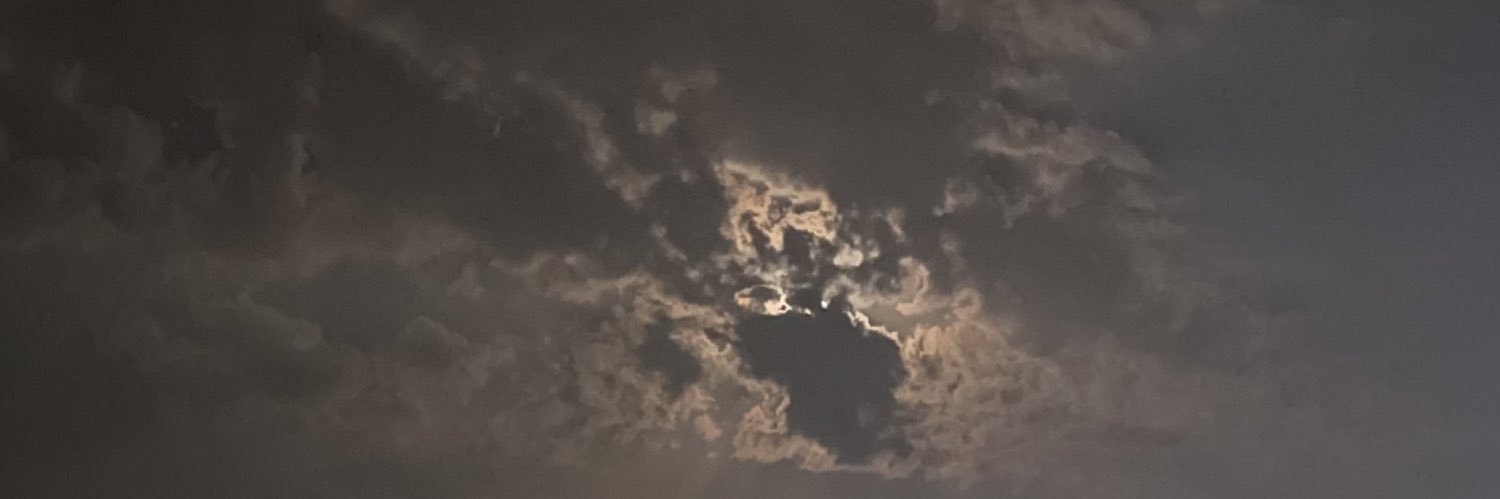 21UL1's profile banner image