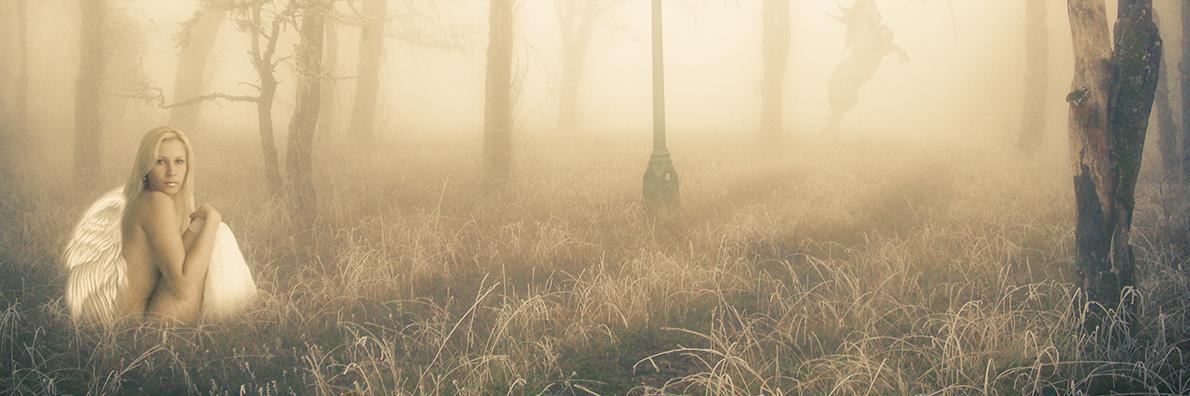 PFancher1's profile banner image