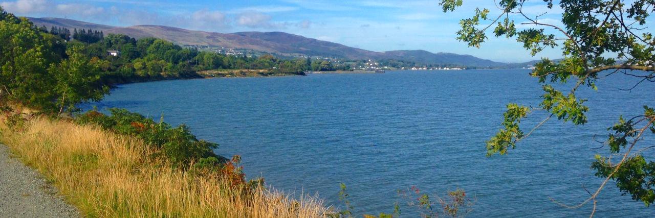 Carlingford &Omeath banner