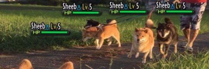 BENxSILVER's profile banner image