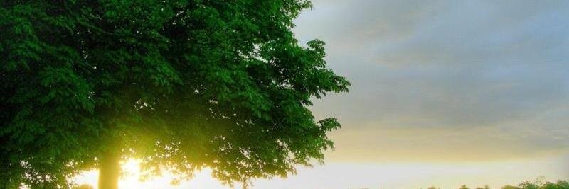 سعيدالشهيب banner