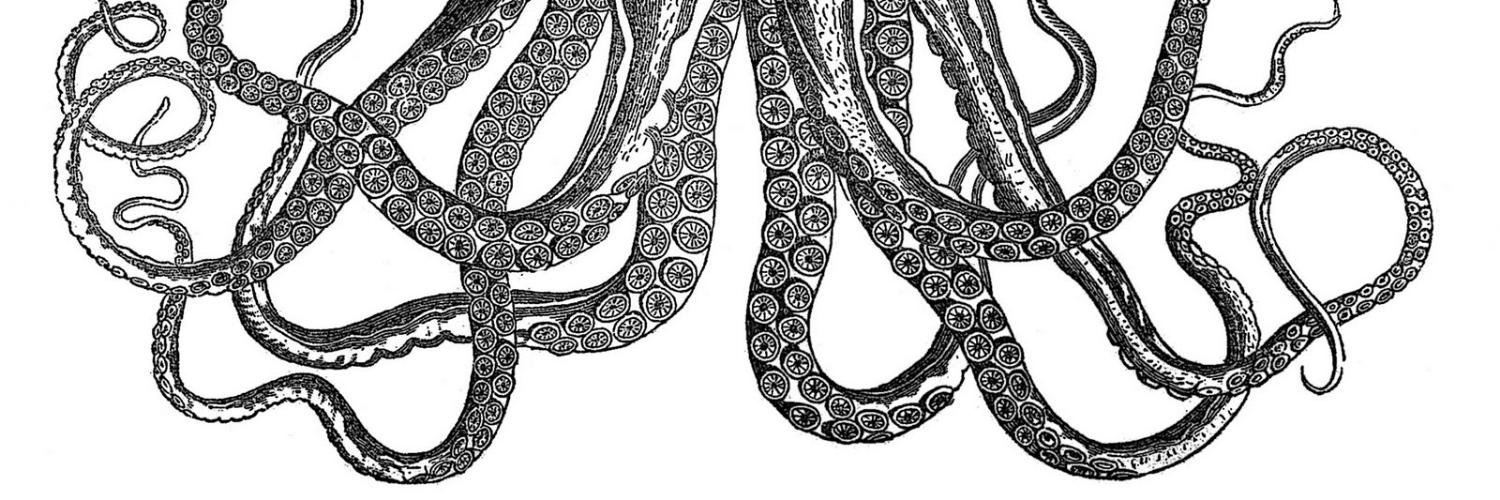 Timiramm's profile banner image