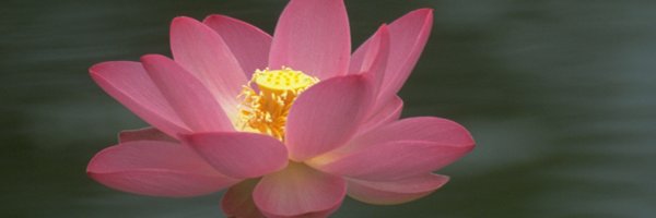 5904kamera's profile banner image