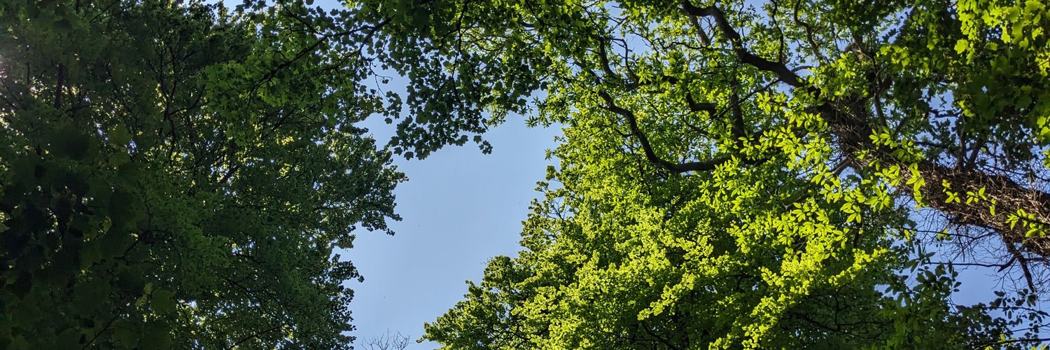 Birgit Hontzsch banner