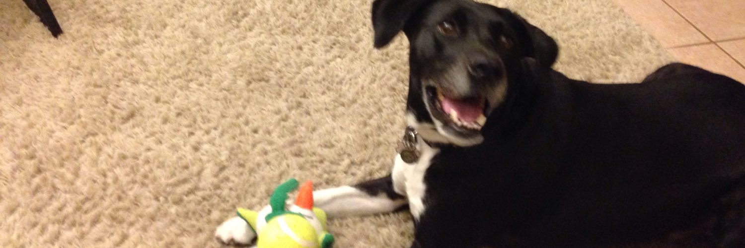 Carlos Castillo banner