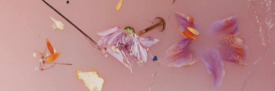 fakeosnelly's profile banner image