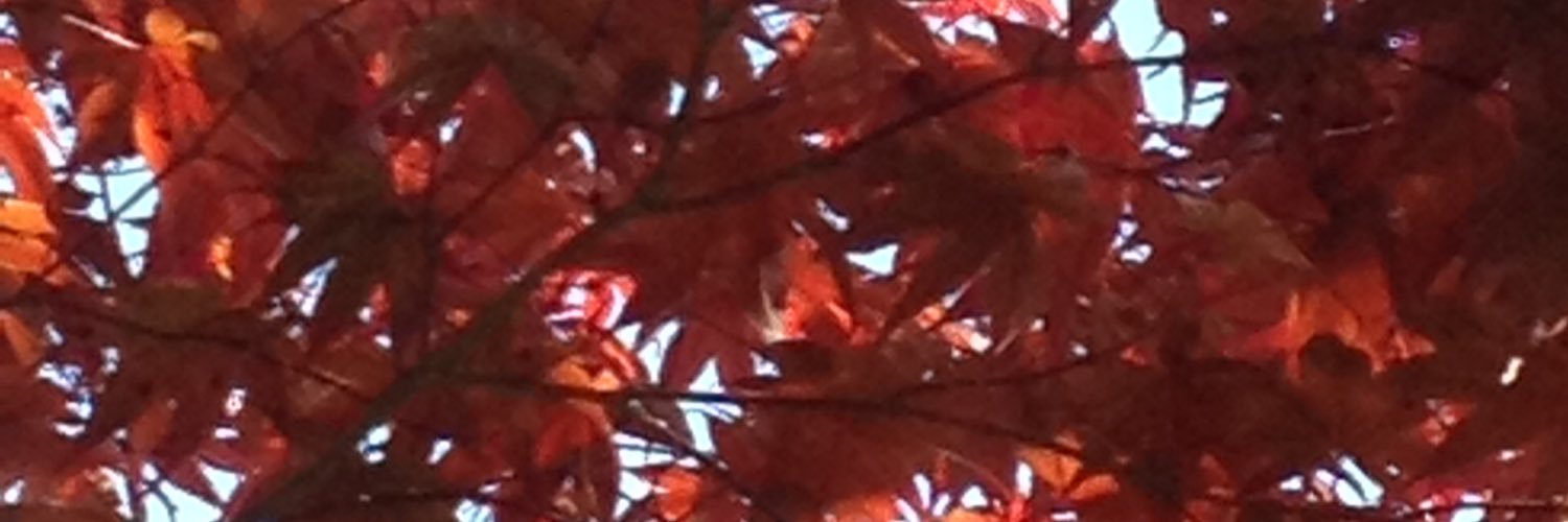 bigjohnearle's profile banner image