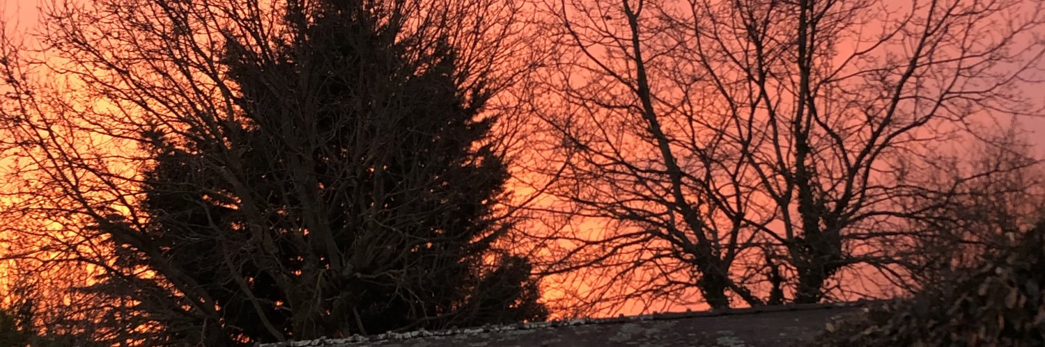 LauraGuyot4's profile banner image