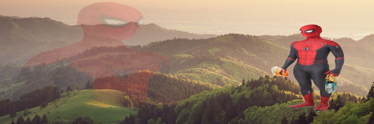 LangersBangers's profile banner image