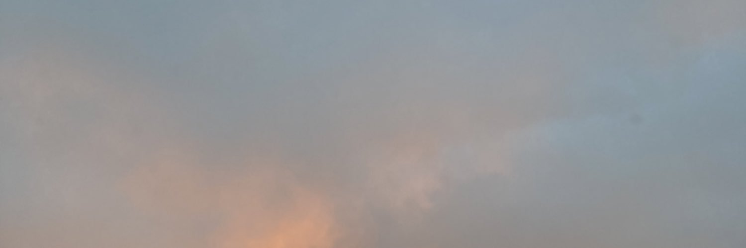 LisaJaneBurton's profile banner image