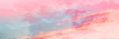 tamitaylored's profile banner image