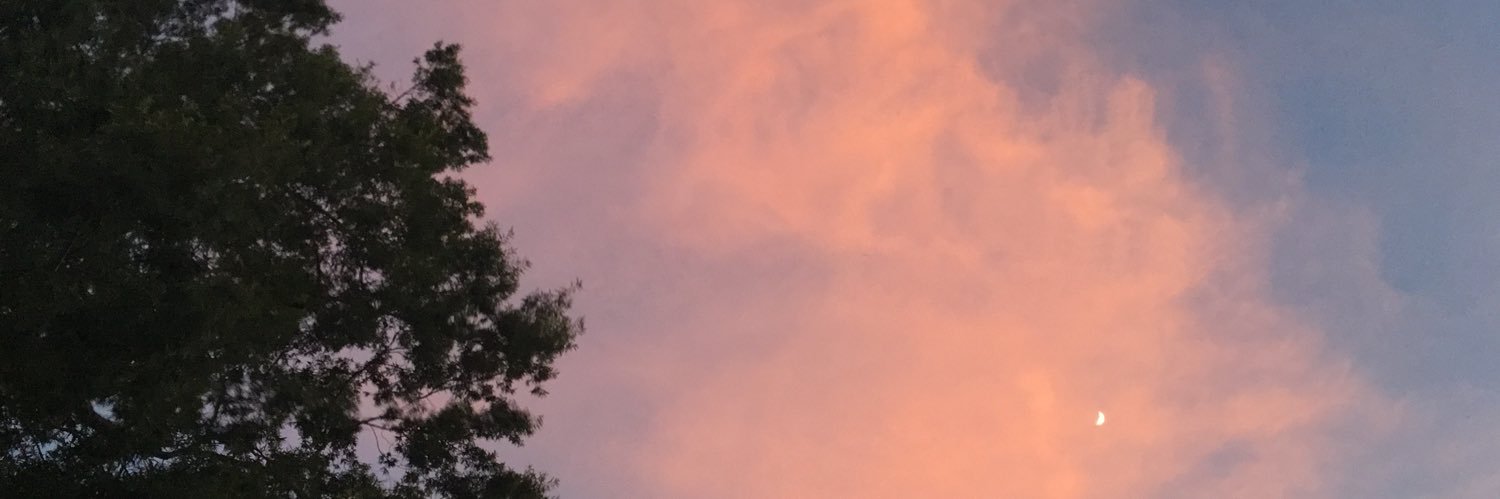 extraordinarl0's profile banner image