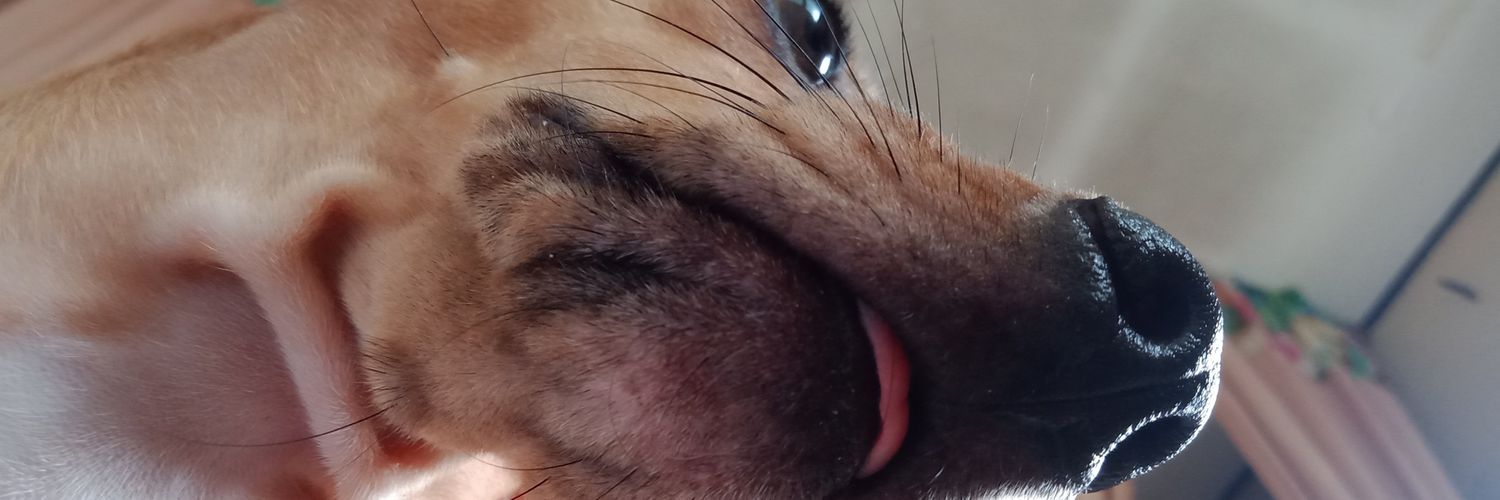 Yeah_Im_Chu's profile banner image