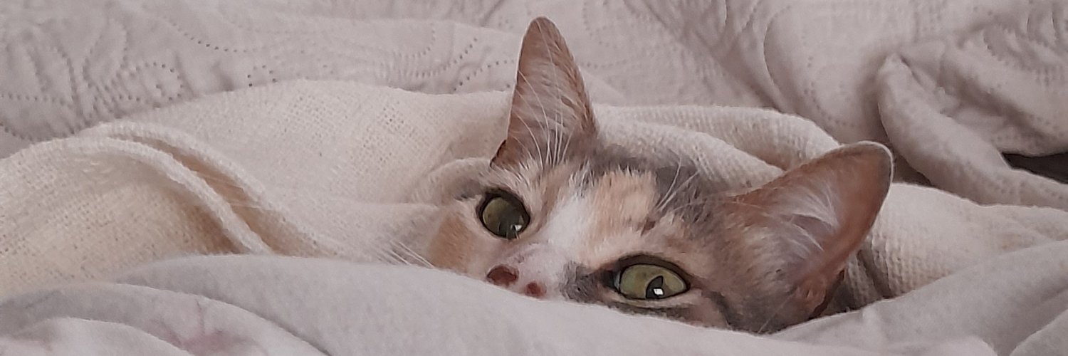 adorableawkward's profile banner image