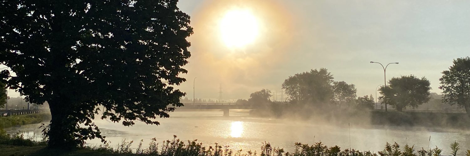 Gregory J McLean banner