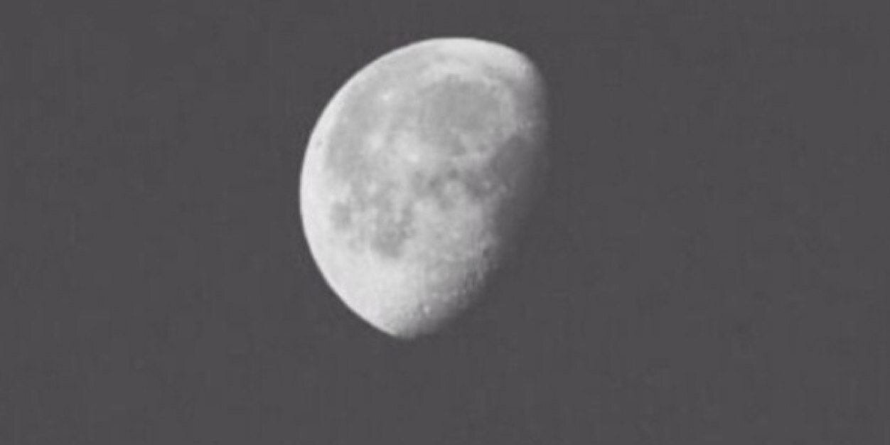 evamunster's profile banner image