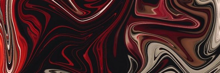 lucca_fantin's profile banner image