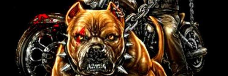 LajosBoza's profile banner image
