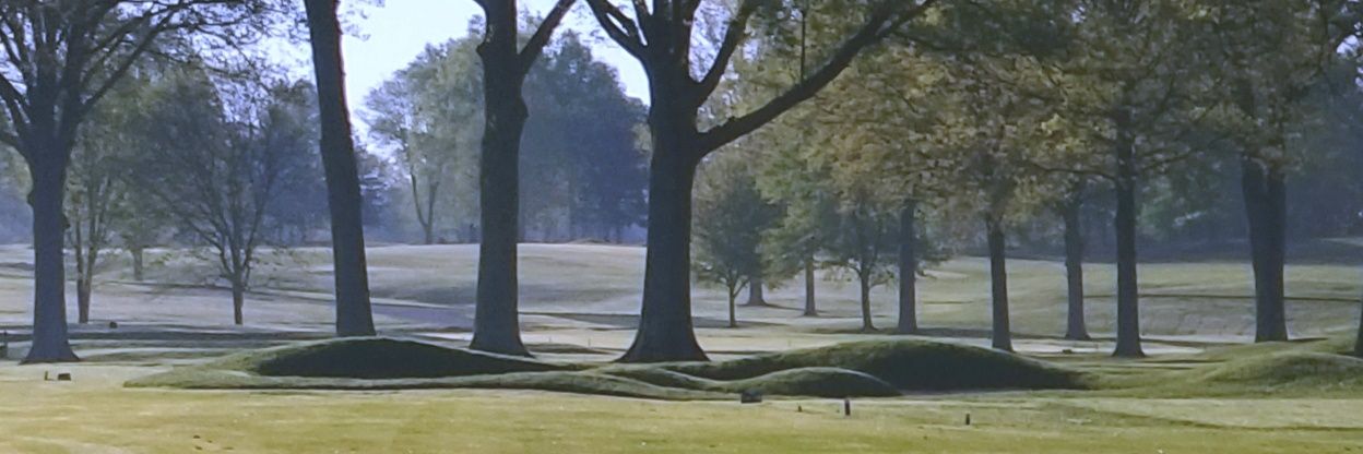 Thomas R. Bolon banner