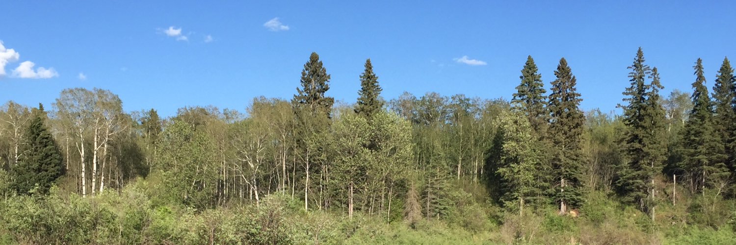 schmidty1986's profile banner image