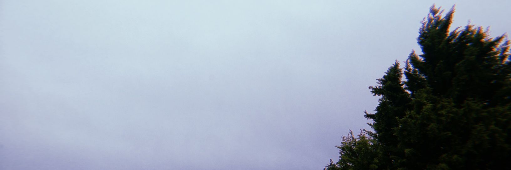 marinatg_'s profile banner image
