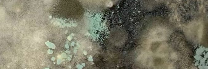campkillyrself's profile banner image