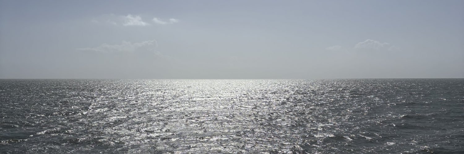 Levi💁🏼‍♂️M banner