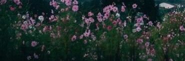annamckeating's profile banner image