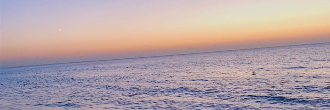 VendraminB's profile banner image