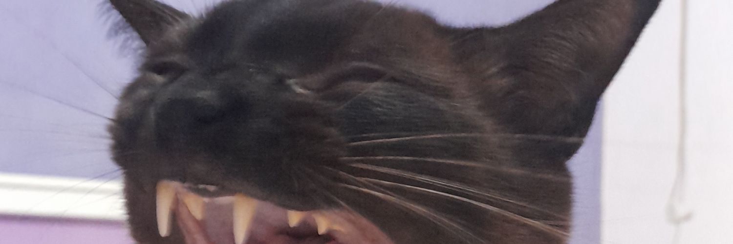 rebheccaa's profile banner image