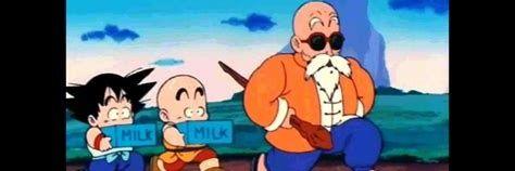 Le maître des tortues banner