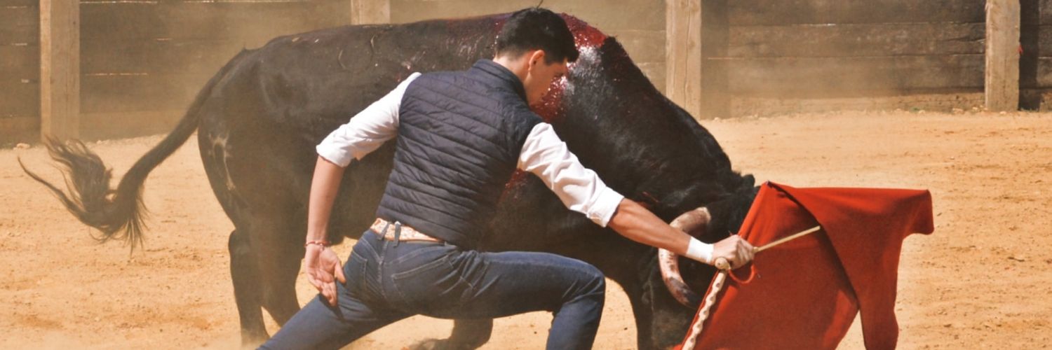 raulrampe's profile banner image