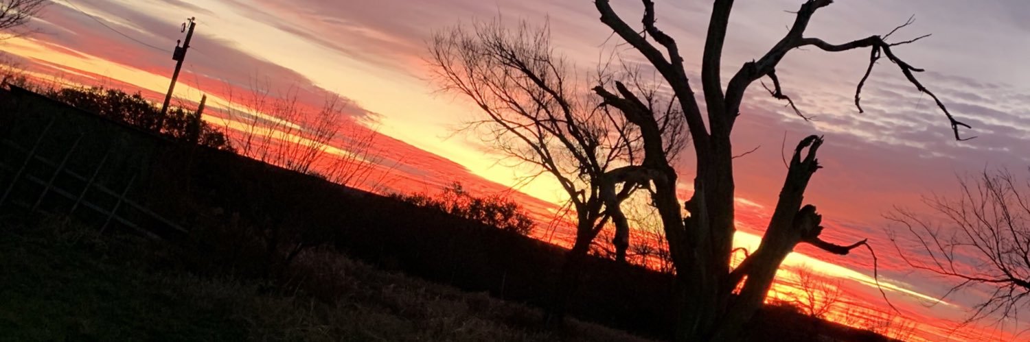 jwimp1's profile banner image