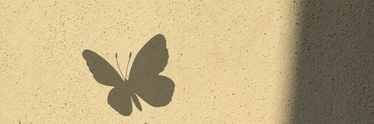 Sanaa 🌸 banner