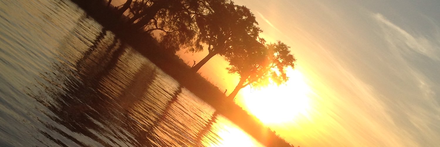 HalpernHeather's profile banner image