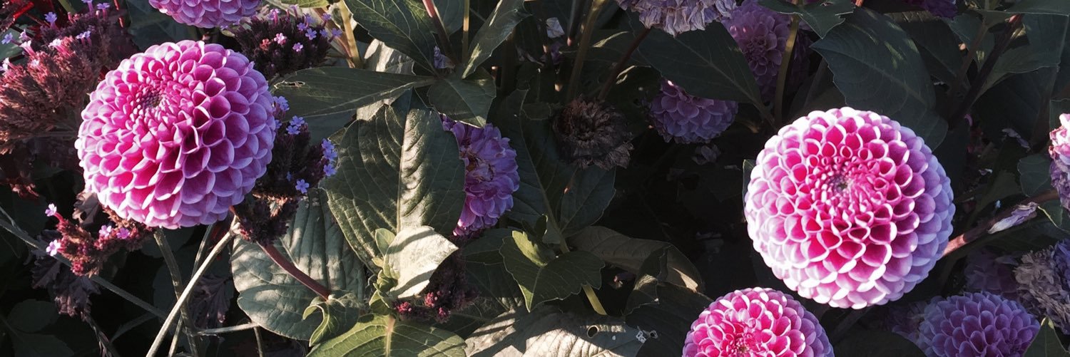 khaledqwt79's profile banner image