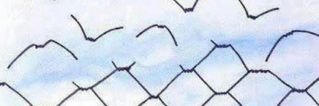 pblbustamante's profile banner image