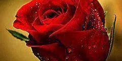 5113625's profile banner image