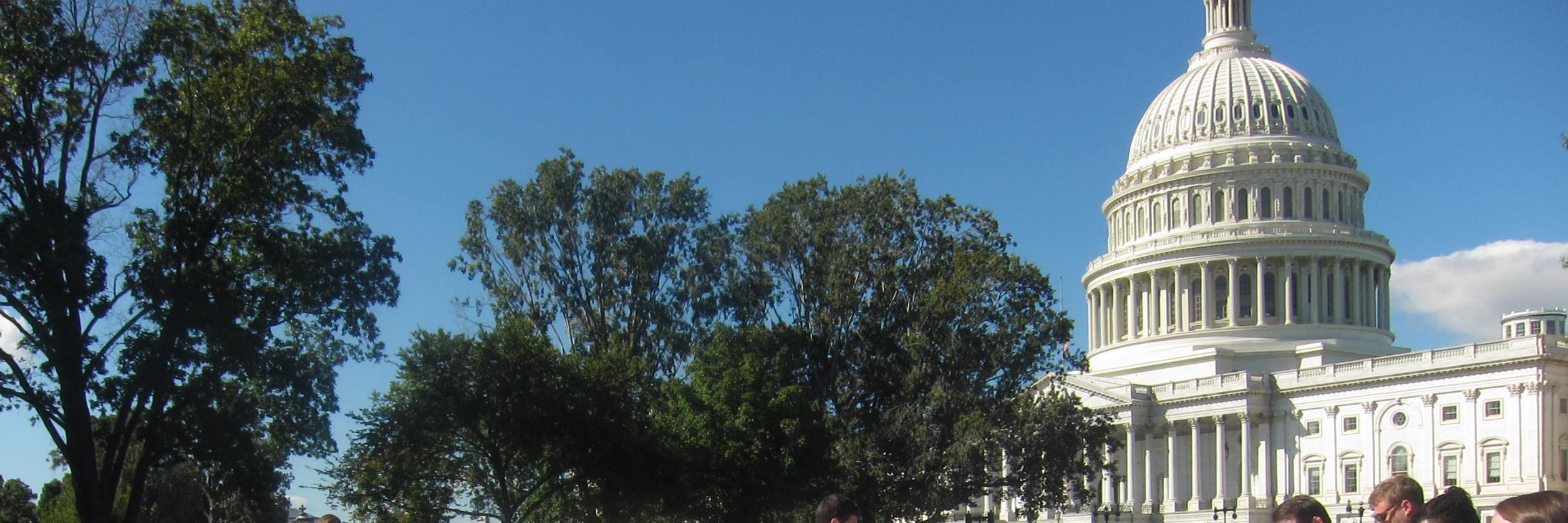 Hannah Matthews banner