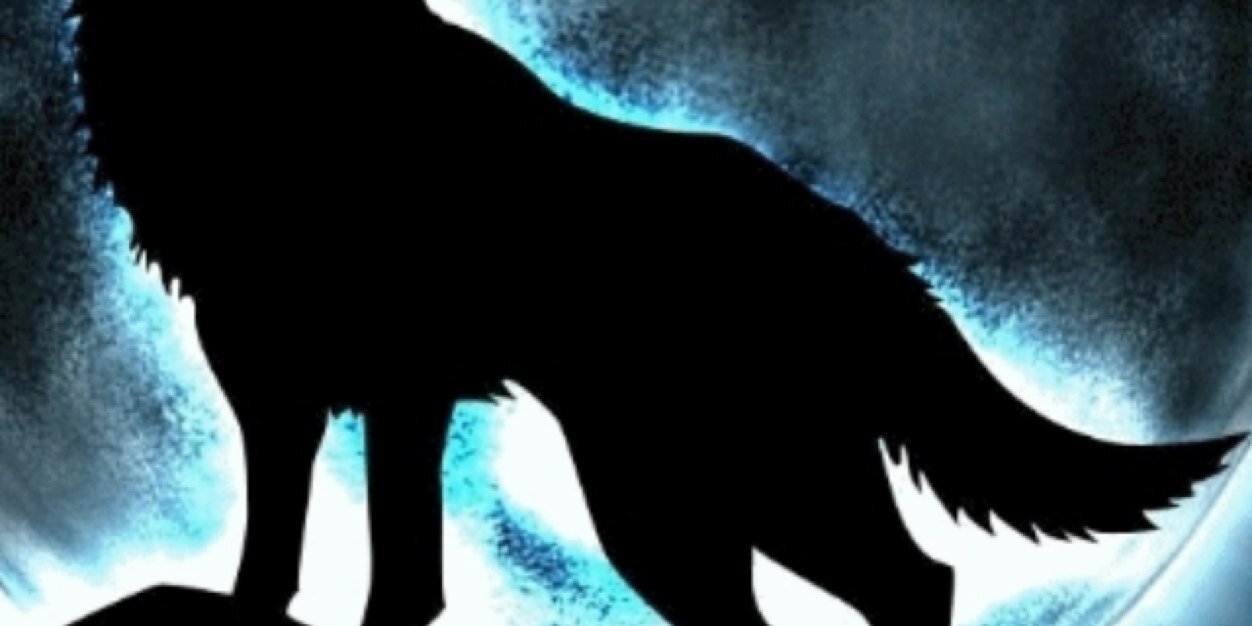 majrsh's profile banner image