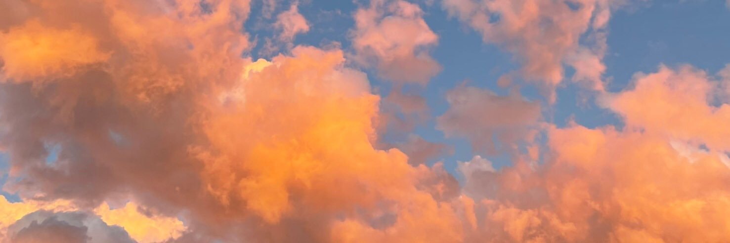 onoq__'s profile banner image