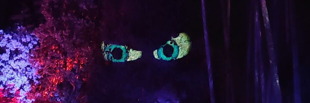 Edgar banner
