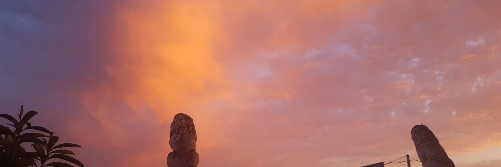 arohaperez9's profile banner image
