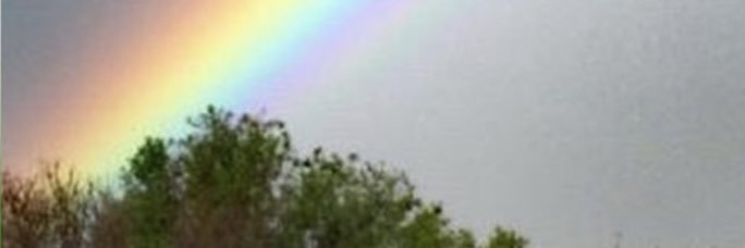 cendrellahabre's profile banner image