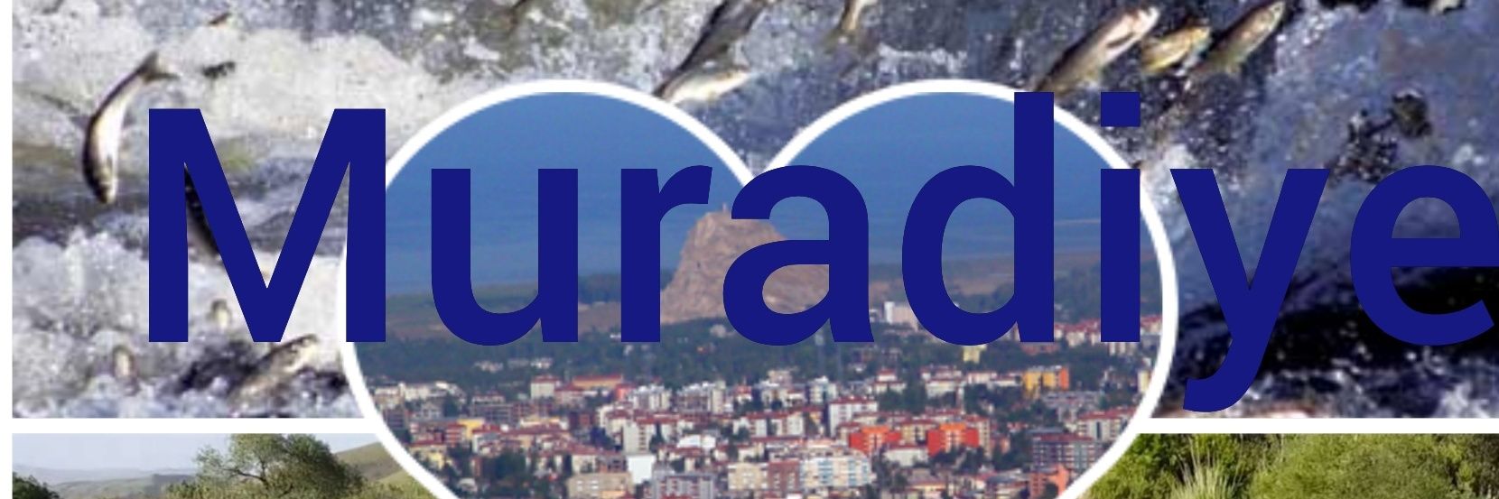 65huruteli's profile banner image