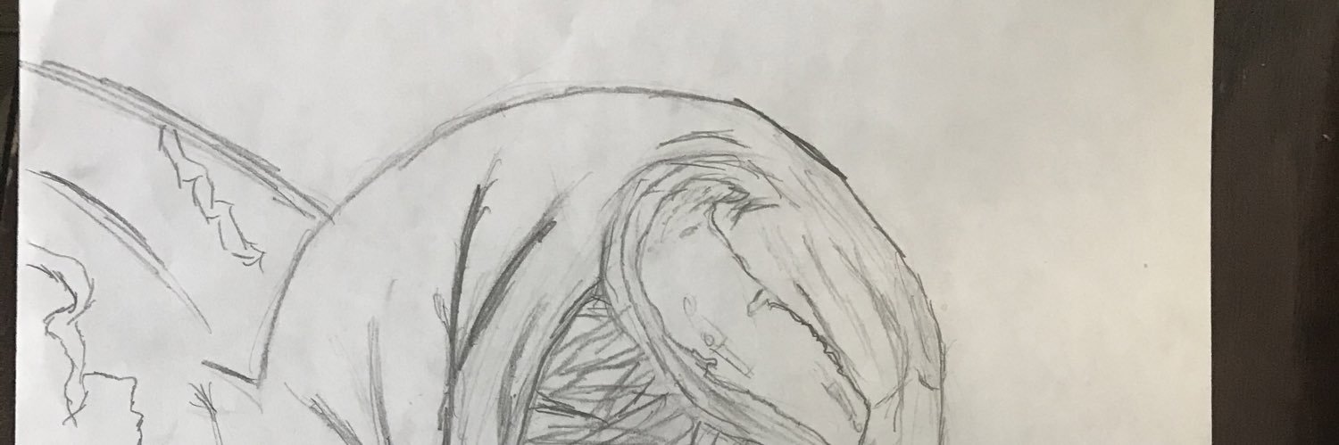 sameepat1969's profile banner image